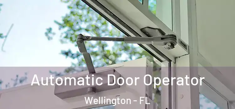 Automatic Door Operator Wellington - FL