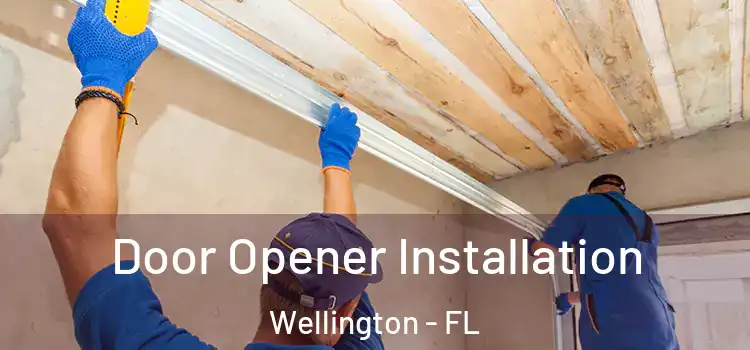 Door Opener Installation Wellington - FL