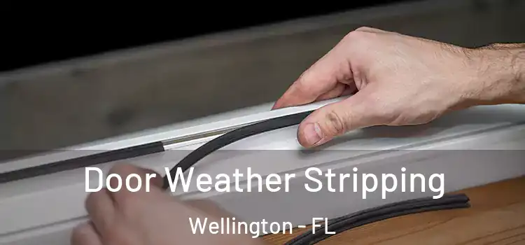  Door Weather Stripping Wellington - FL