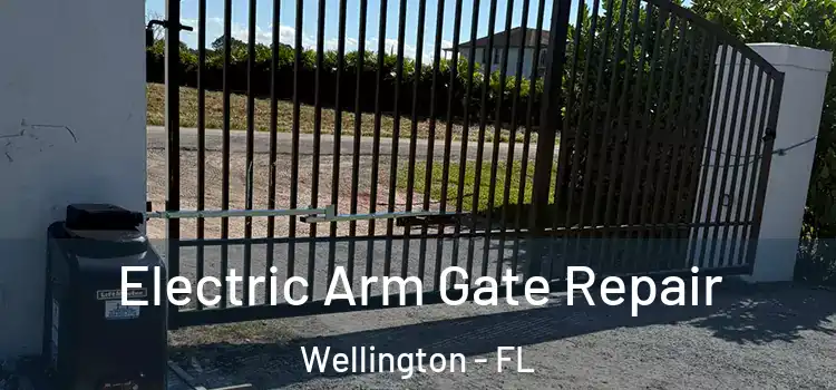 Electric Arm Gate Repair Wellington - FL
