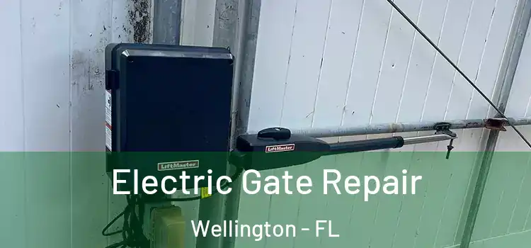 Electric Gate Repair Wellington - FL