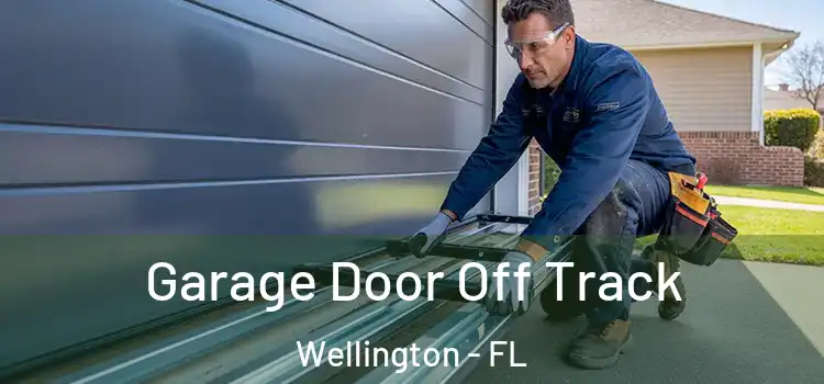  Garage Door Off Track Wellington - FL