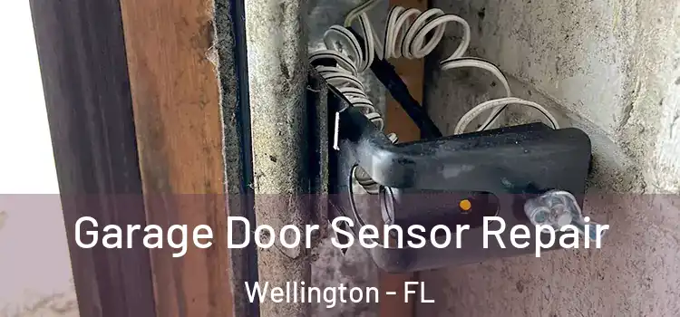  Garage Door Sensor Repair Wellington - FL