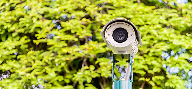 Advanced Surveillance Solutions for Every Need in Wellington