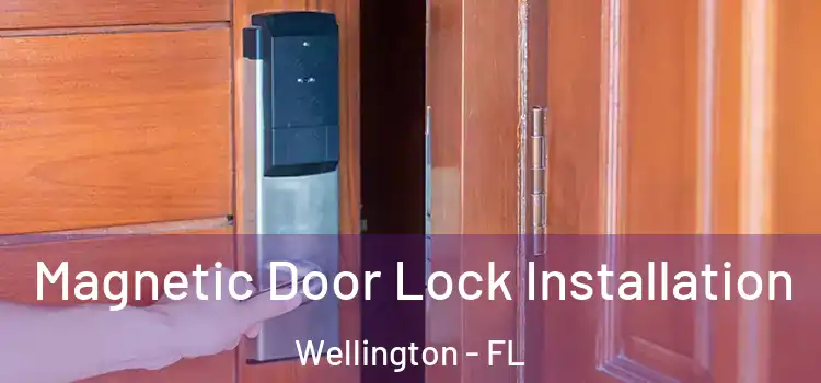  Magnetic Door Lock Installation Wellington - FL