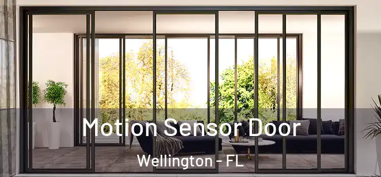  Motion Sensor Door Wellington - FL