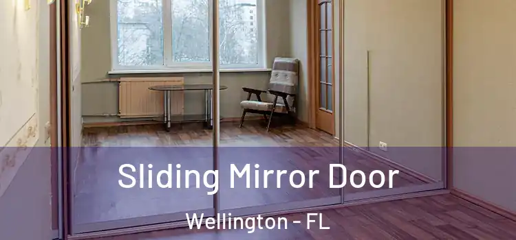  Sliding Mirror Door Wellington - FL