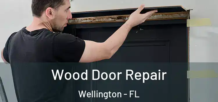 Wood Door Repair Wellington - FL